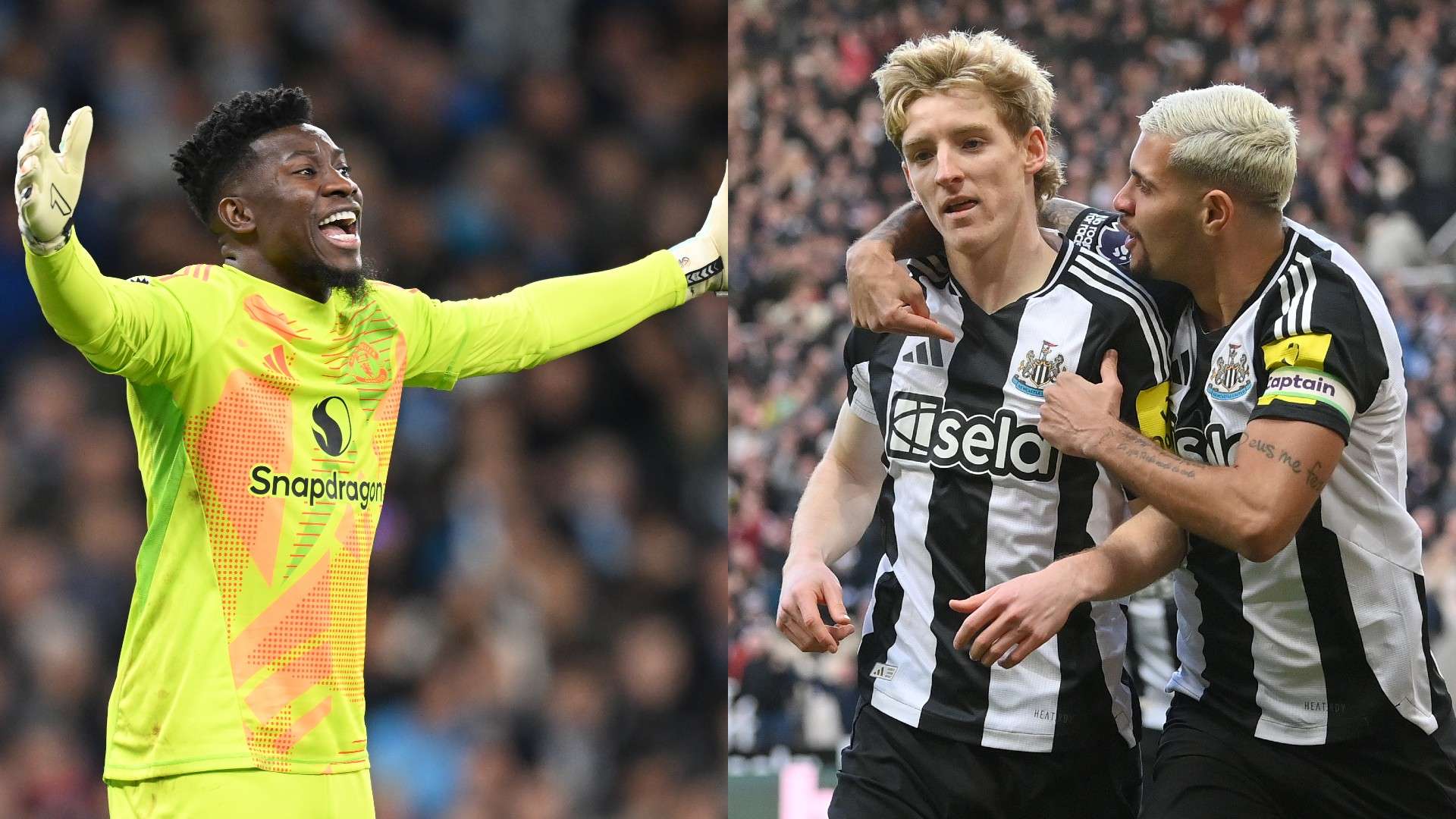 这对身体和 这对身体和