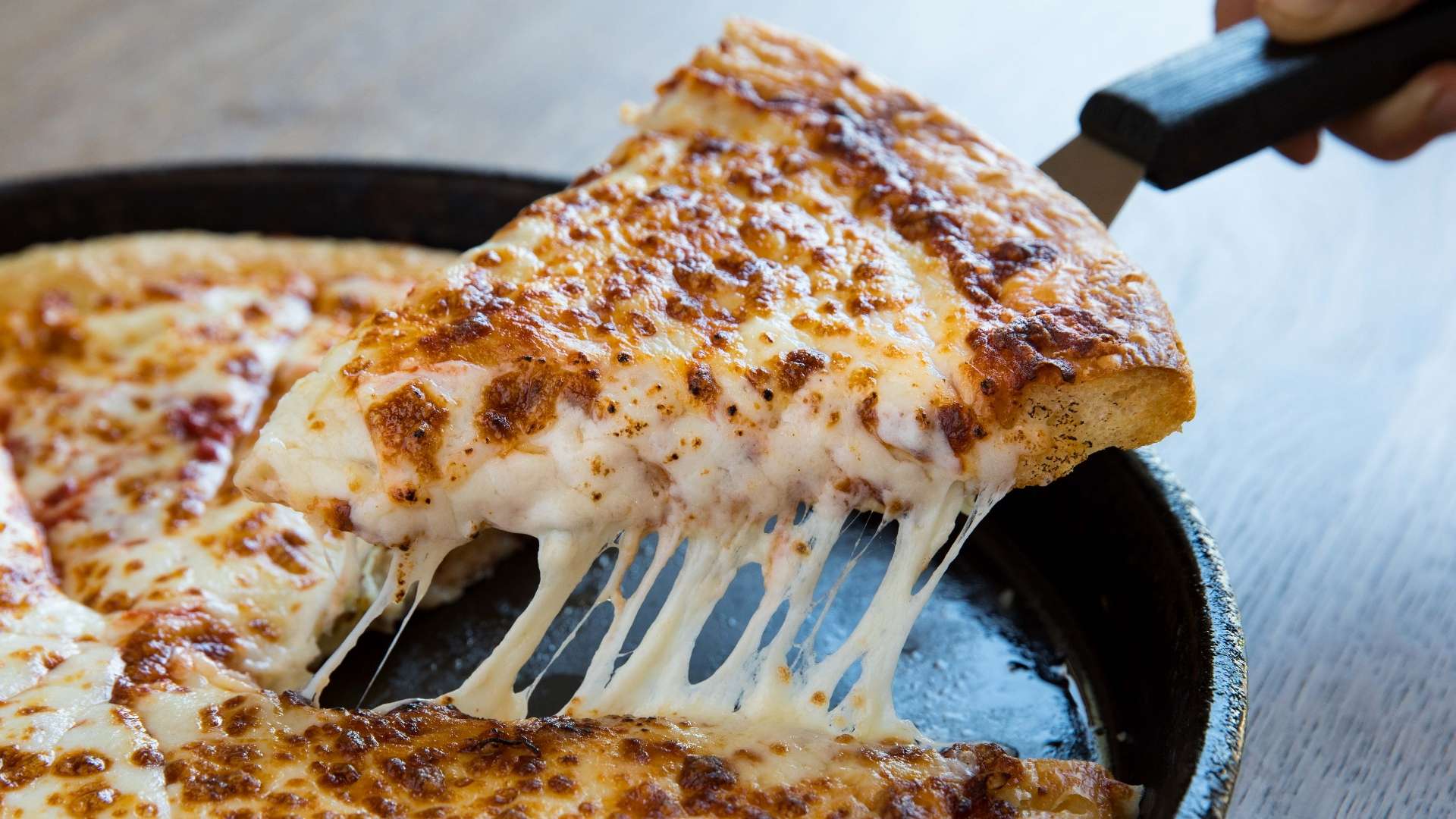 您不仅能了 您不仅能了