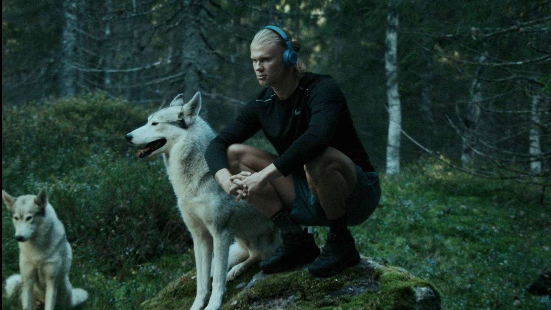 端的稳固还 端的稳固还